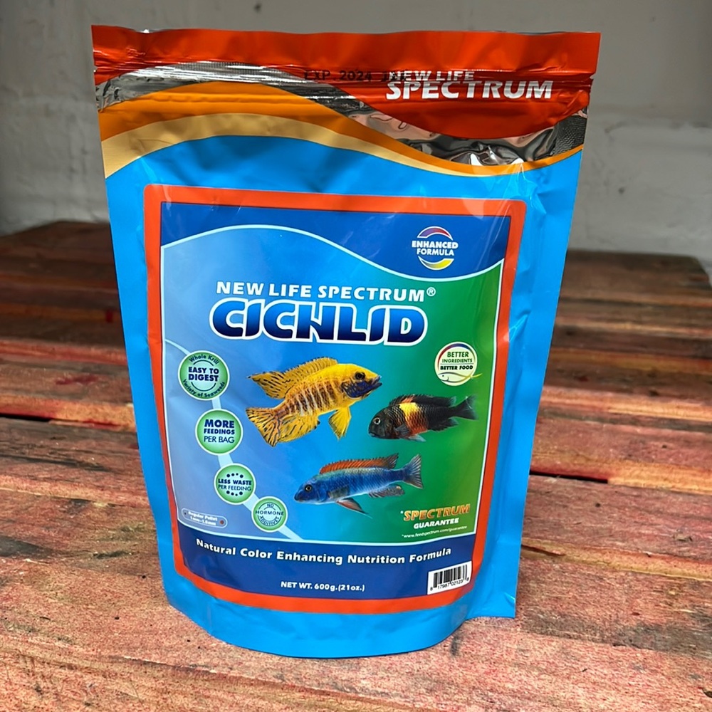 New Life Spectrum Cichlid